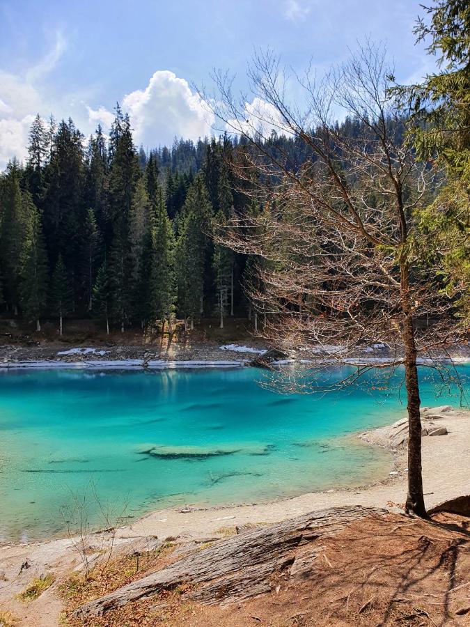 Ferienwohnung Stenna Selva An Toplage Flims Exterior foto